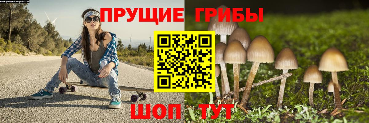 Зеленокумск  Галлюциногенные грибы MAGIC MUSHROOMS  Псилоцибиновые грибы Psilocybe  Вход с VPN 